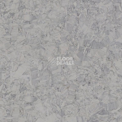 Линолеум Tarkett iq Megalit GREY 0603 фото 1 | FLOORDEALER
